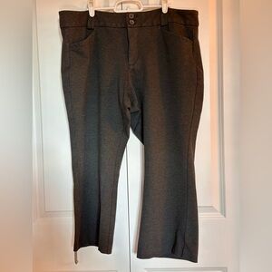Studio by Torrid Dark Gray Bootcut Pants 22 X-Short